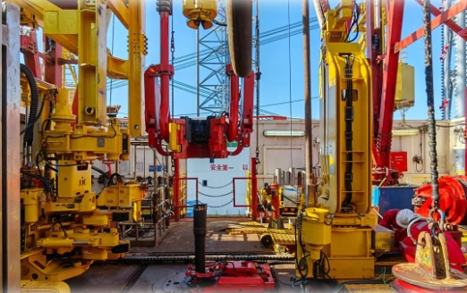 Tripro@ सिस्टम की बैच डिलीवरी